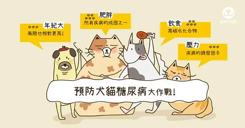 糖尿病.png