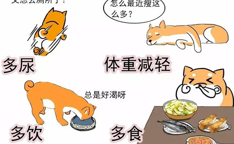肥胖癥.jpg