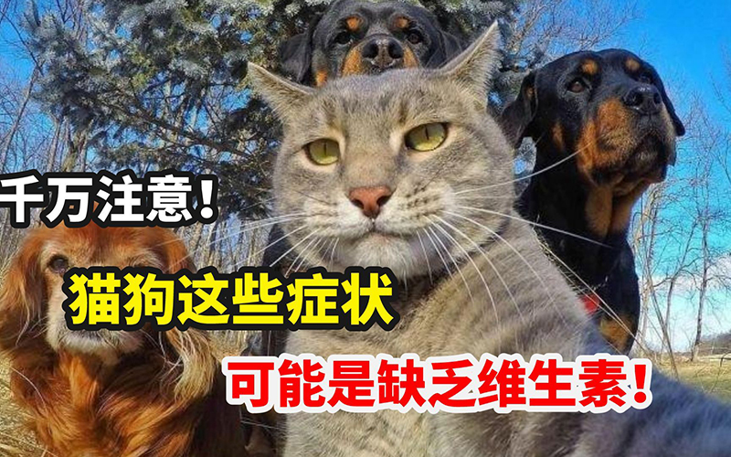 維生素 B缺乏癥.jpg