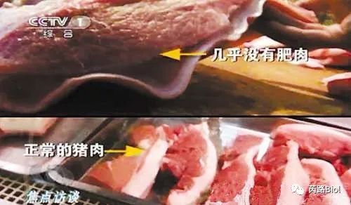 4261ec9d545464ee29c6dbcd898baba9_640_wx_fmt=jpeg&wxfrom=5&wx_lazy=1&wx_co=1.jpg
