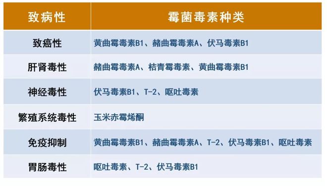 下載 (1).jpg